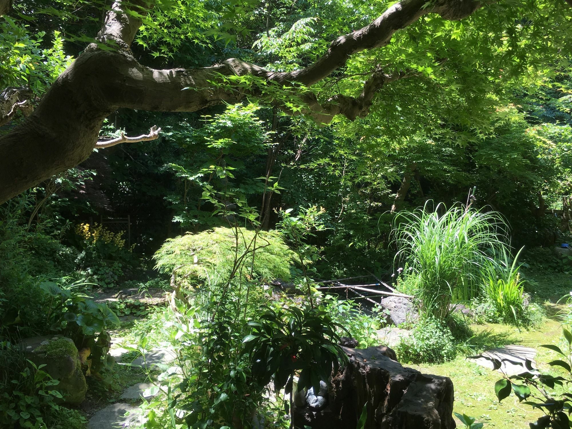 Yamato *