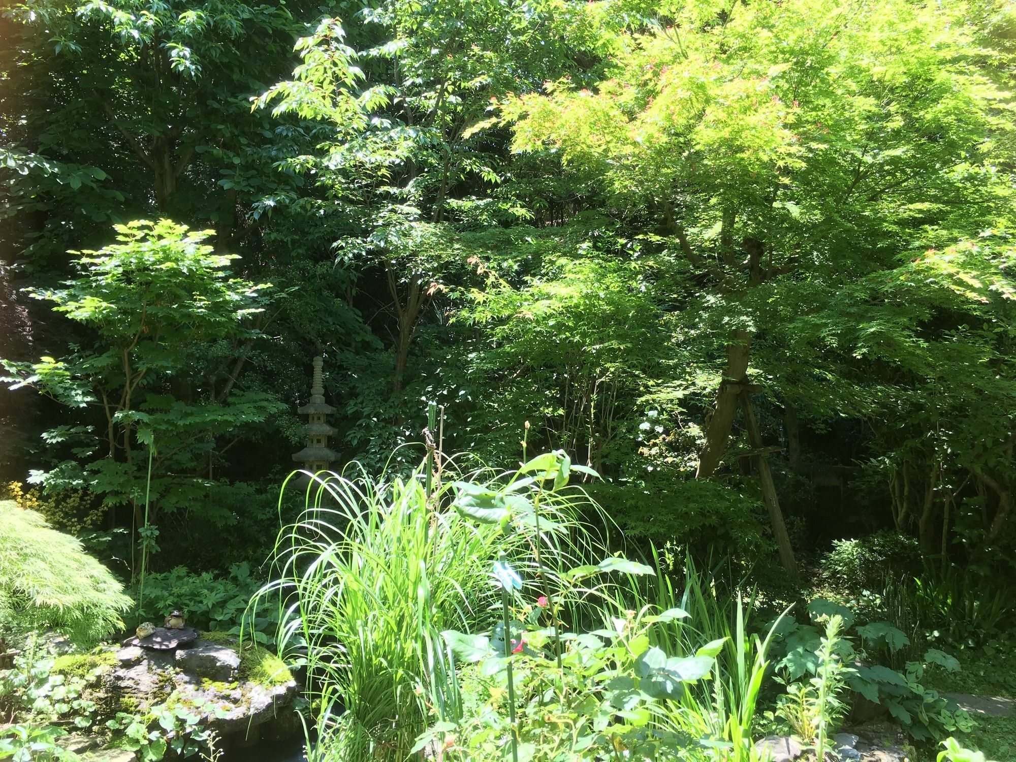 Yamato * Kyoto